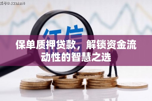 离石保单质押贷款，解锁资金流动性的智慧之选